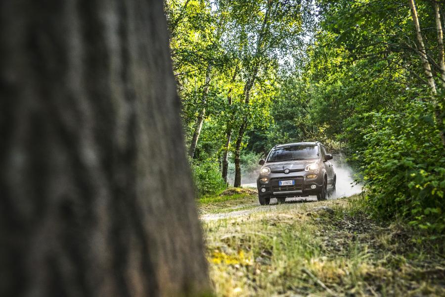  Fiat Panda 4x4 2017 года  (фото 22 из 26)